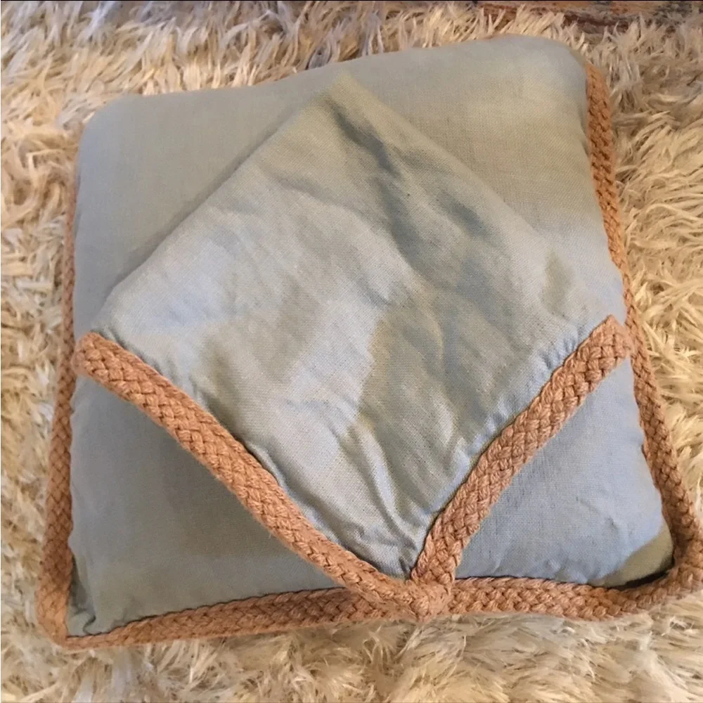 Pottery Barn sham 20 “